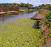 liverpool north